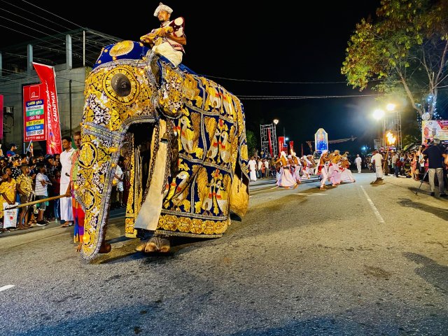 Dambadeniya Esala Perahera